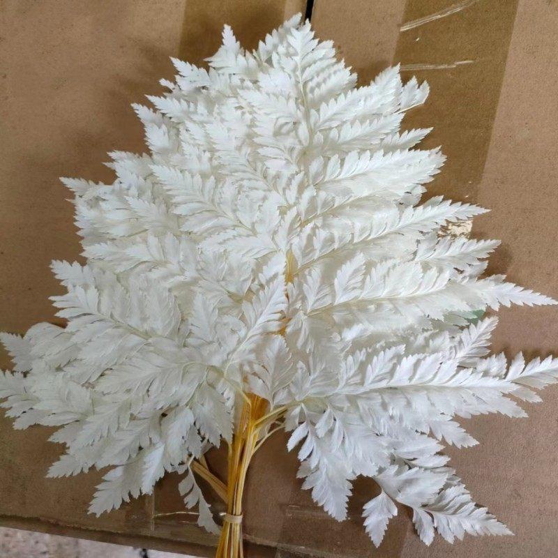 Eternal alpine fern golden alpine fern leaf immortal flower dried flower bouquet wedding decoration with grass