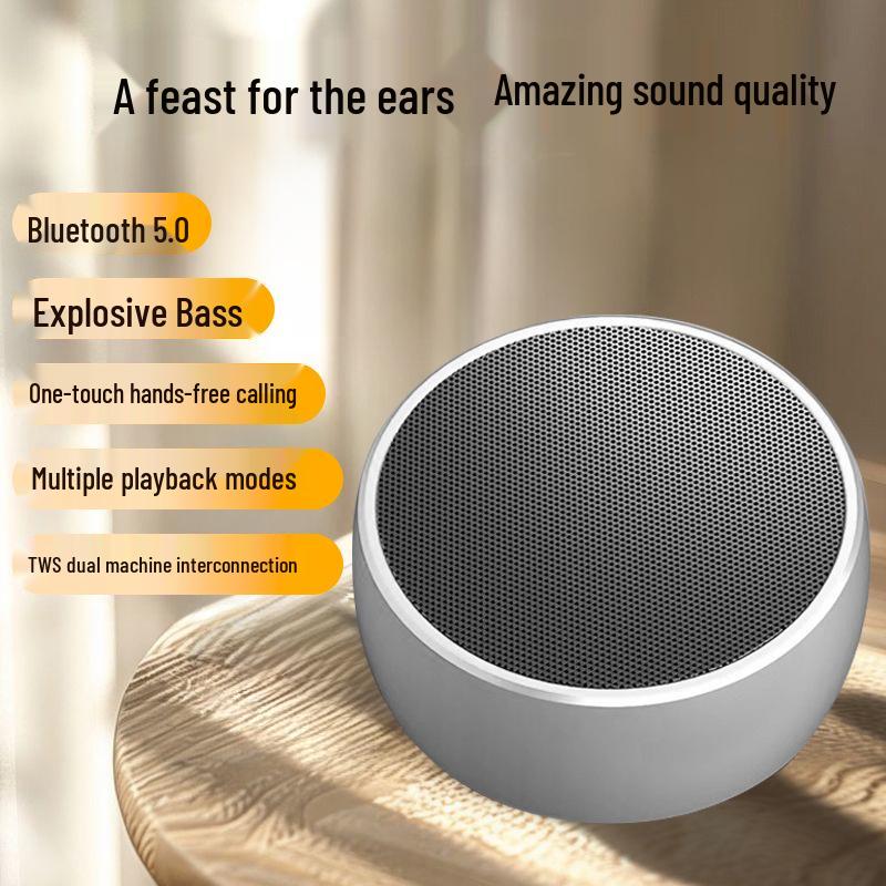 Mini Bluetooth Speaker Subwoofer: Compact, Powerful Sound, Outdoor Ready