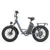 URLIFE E20 Pro 20 Zoll Elektrofahrrad mit dicken Reifen für Erwachsene, 48V15,6Ah Akku, 750W Motor, Geländetauglich, Outdoor-Fahrrad, E-Mountainbike