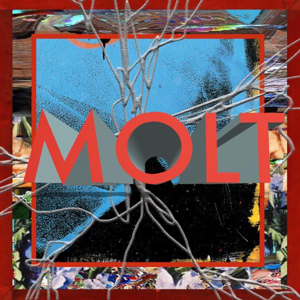 CD MOLT  MOLT PCD18831 PVINE 2018 Japan Obi Japanese Club Dance