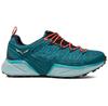 Полуботинки Salewa Women's Dropline GTX