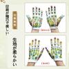 Hand acupressure gloves [Japanese acupressure instruction manual] [double-sided acupressure print] Palm massage acupressure stick tool