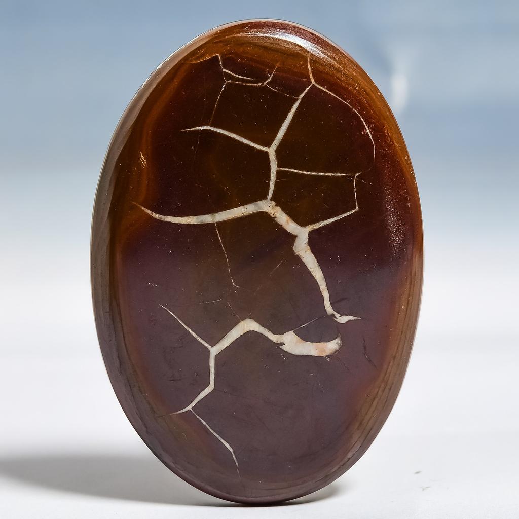 Mud Crack Fossil 4x5.8mm Natural Cabochon Fine Loose Gemstone 127.15Cts.