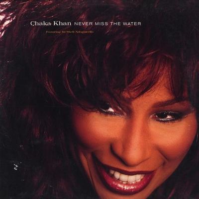 12inch Record CHAKA KHAN - Never Miss The Water 043787,9437870 Reprise Records 1996 US Dance & Electronica Used