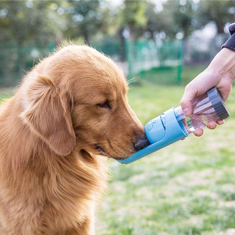 portable pet drinking bottle