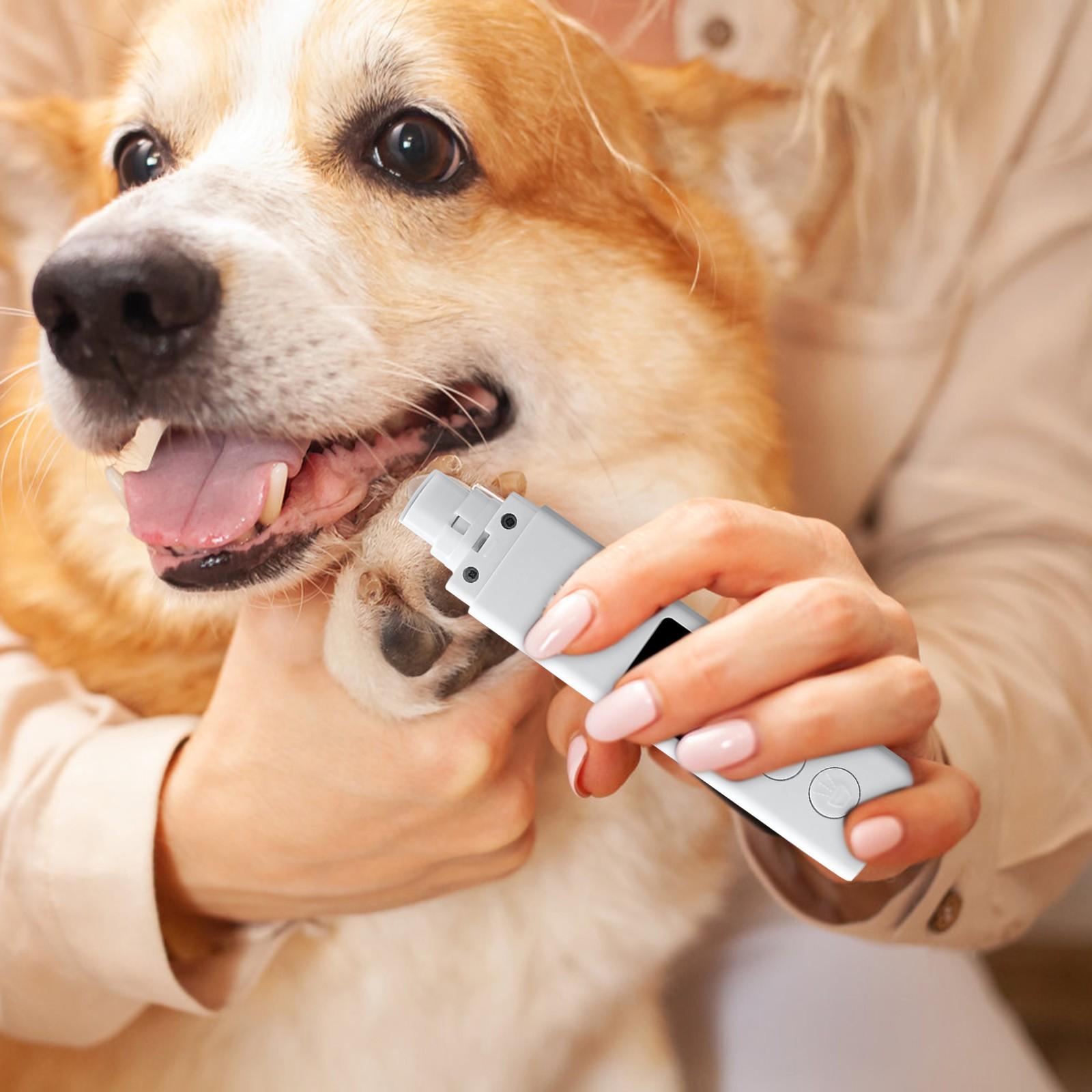 

Средство для снятия лака с ногтей домашних животных с крышкой белый