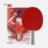 Racchetta da Ping Pong Professionale DHS 6 Stelle H6002