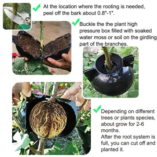 9Pcs Plant Propagator Ball Boost Plant Growth No Damage Translucent Increase Rooting Rate Indoor Outdoor Use