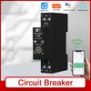 Tuya WiFi Intelligent Circuit Breaker 1P 63A DIN Rail Bidirectional Metering Energy Meter Support 3