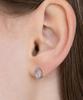Tatiana (Silver 925) Oval Gem Earrings Ec3267