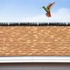 8/12pcs Long Lasting Bird Scarer Repeller Waterproof Pigeon Deterrent Spikes  Animal Deterrent