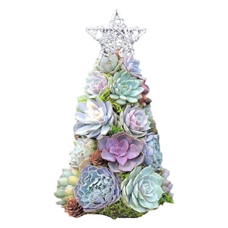 

Succulent Christmas Tree for Home Decor with Vibrant Colors Resin Ornament