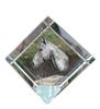 Holsteiner Horse – Crystal Cube with a Horse Picture, Horse Picture In Crystal |