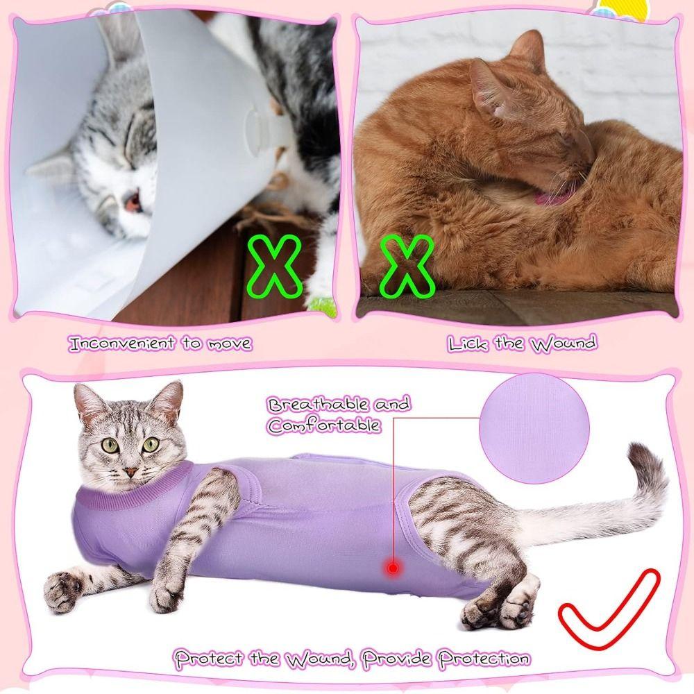 Prevent Lick Cat Recovery Suit Anti Bite Cat Neutering Wear Physiological Clothes Home