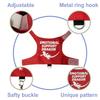 Lizard Harness and Leash Set, Pet Reptile Outdoor Chest and Back Strap, Specifically Designed for Chameleons and Squirrels