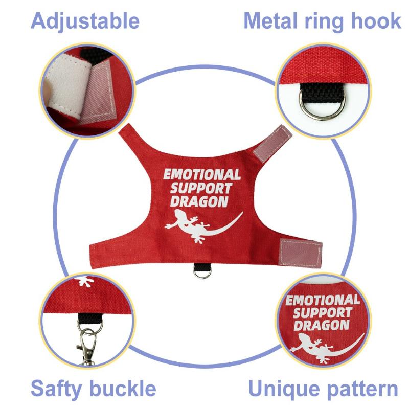 Lizard Harness and Leash Set, Pet Reptile Outdoor Chest and Back Strap, Specifically Designed for Chameleons and Squirrels