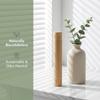 Eco Friendly Toothbrush Holder Bamboo Toothbrush Protect Box  Home Travel Camping