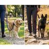 Verstellbare Schlaufe Hund Schlingleine Helle Farbe Haustierseil Komfort Zug Trainierleine Haustiertraining