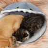 Cat Bed Shark Design Shelter Pet Supplies Indoor Cat House For Puppy Indoor Home Apartment Living Room Bedroom Balcony