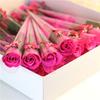 Rose red