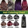 500ml Hair Coloring Shampoo Herbal Hair Dye Shampoo For Men And Women