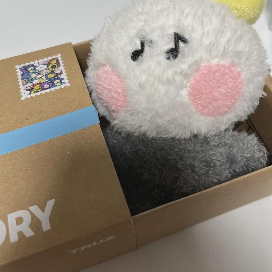 

Treasure True Yoch Minini