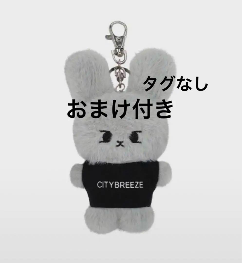 

[USED] CITYBREEZE Doyoung Keychain
