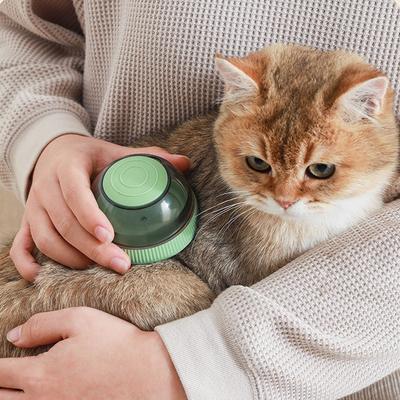 Haustier Hund Bade Massagebürste Teddy Corgi Badekamm Katze Bade Artefakt Zubehör Silikonbürste