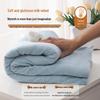 Winter Velvet Flannel Fleece Bed Sheet - Thick Coral Fleece, Solid Color, for Student Dormitory Mattress.
