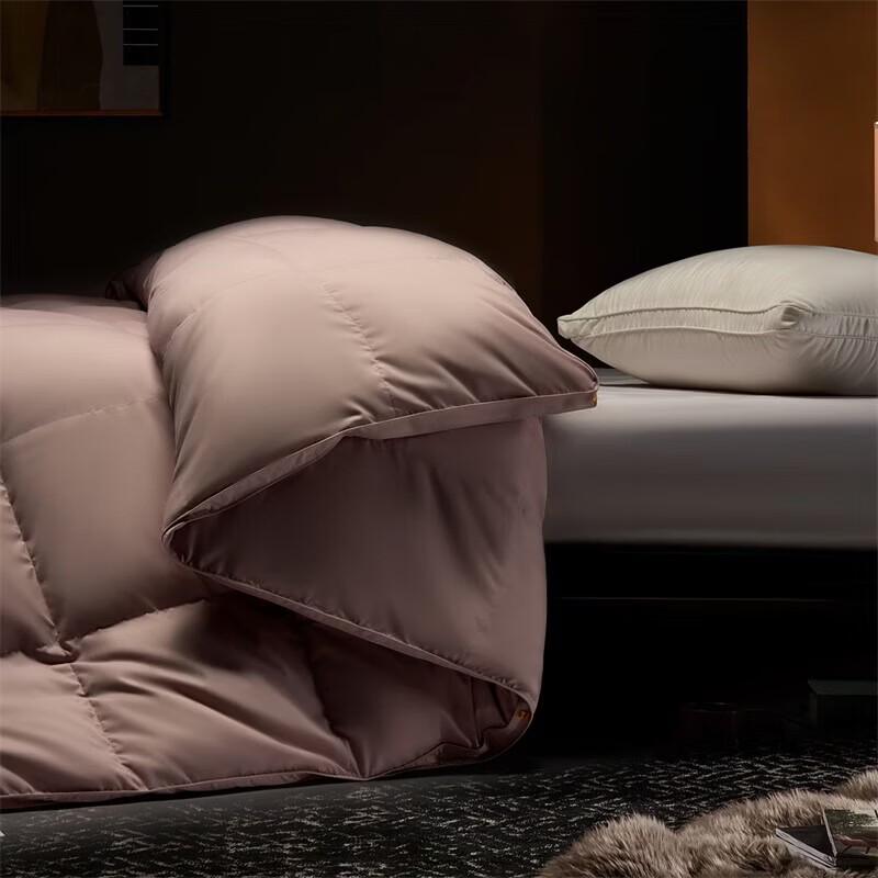 Mercury Home Textiles Antibacterial Anti-mite Goose Down Winter Quilt