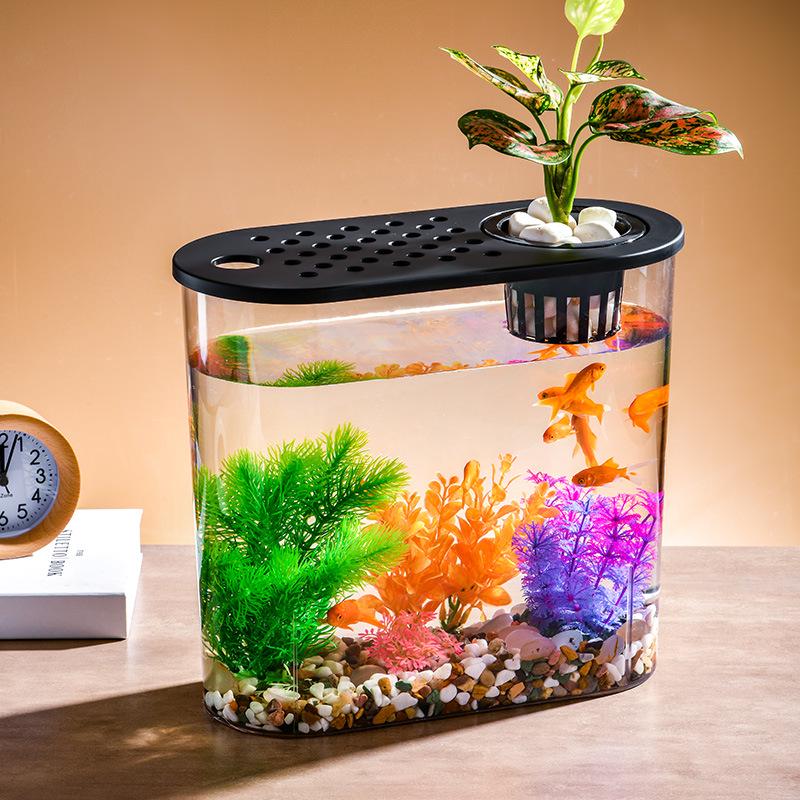 Clear Oval Desktop Fish Tank & Turtle Habitat Ornament