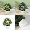 Lycopersicon Esculentum Var Potted Plant Artificial Decor For Wedding And Home Decoration