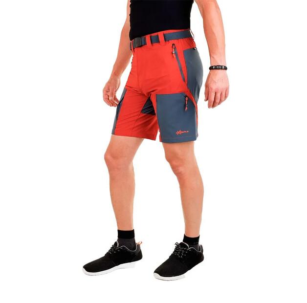 Newwood Шорты Horse