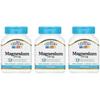 21st Century Sentry Magnesium 250mg, 110 Tabletten (3 Pack)