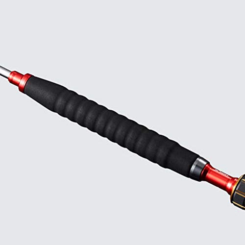 SHIMANO Rod Boat Rod 20 Kaiko Red Sea Limited Short Length Handheld Rod S250/Right