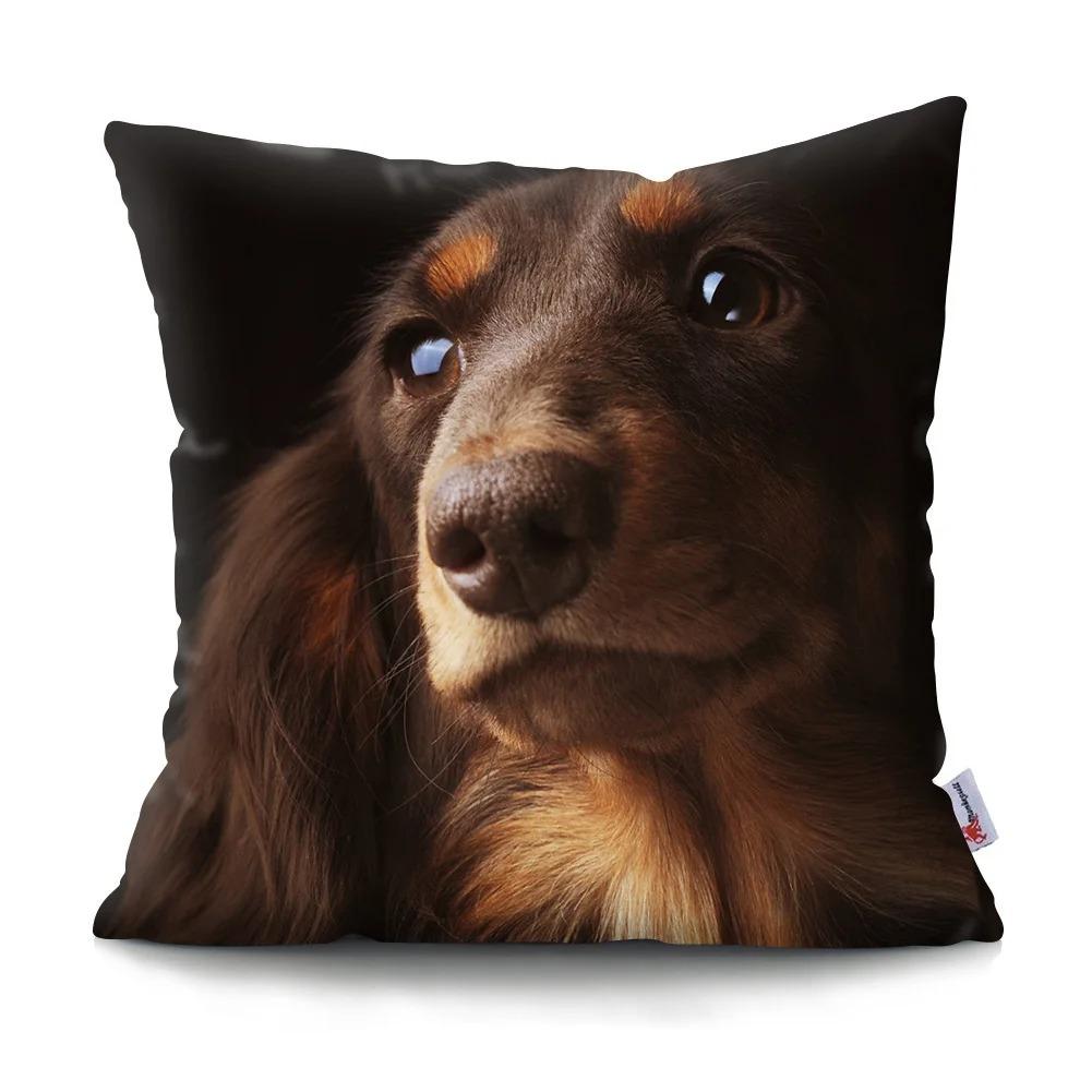 

Милая собака животное декоративная наволочка гостиная офис украшения дома наволочка 50x50cm