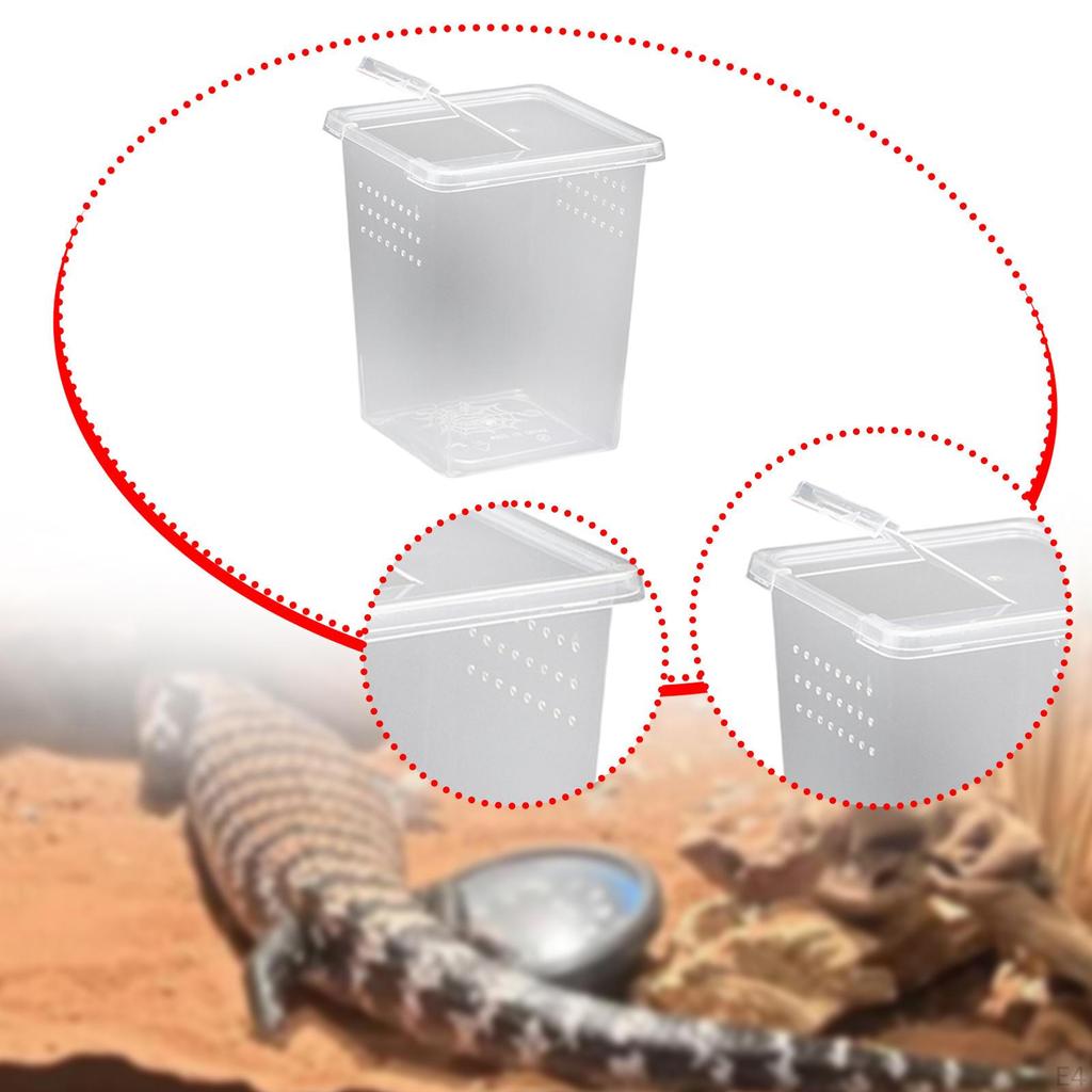Feeding And Breeding Box for Reptiles with Lid Ventilation Holes, Mini, Transparent, Horned