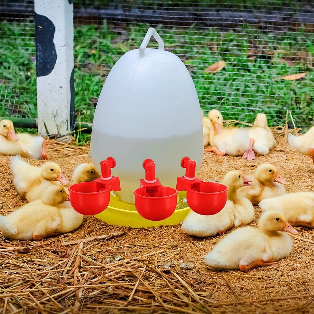 10Pcs Automatic Chicken Drinking Cup 9mm Thread Farm Goose Duck Poultry Drinking Bowls Plastic Water Dispenser Feeder Equipment