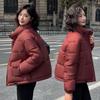 Short bread clothes, cotton-padded clothes for women, fresh and thickened stand-up collar, warm and casual temperament, winter cotton jacket