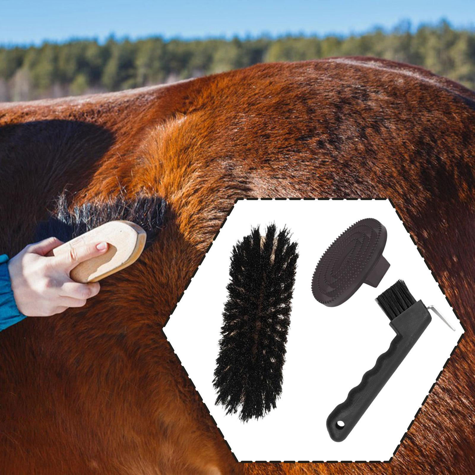 

Grooming Kit Including Hoof Trimmer, Brush, Curry Comb, And Horse Brush Set, Ideal for Owners чёрный