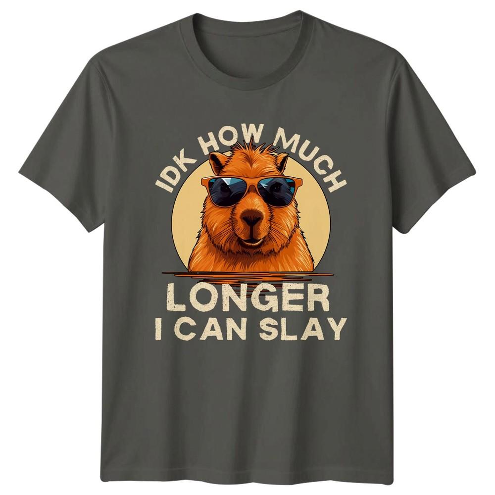 Idk How Much Longer I Can TShirt Capybara Sarcasm Animal Humor Birthday Gift