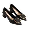 Pointed-toe Single-heeled, Fashionable, Shallow-mouthed, Thick-heeled, High-heeled Women's Shoes