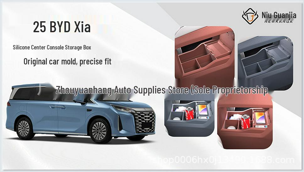 BYD Xia Center Console Glasses Case & Organizer for Cars