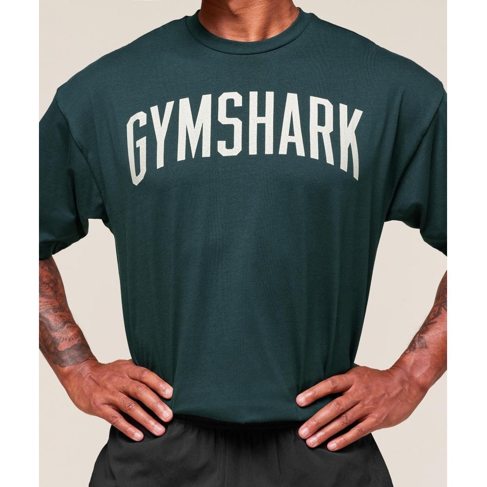 Gymshark Nošené grafické tričko Tmavě petrolejová modř A3c8m Udrl