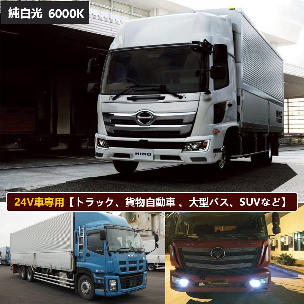 T10 LED White Explosive Light, Built-in Canceller, LED T10, Compatible with Vehicle Inspection, 18