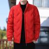 Men's Down Jacket Autumn and Winter Simple Trend Stand-up Collar Bread Jacket Men's Cold and Warm Youth Down Jacket