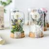 DIY Material Package Eternal Flowers Wishing Vase Dandelion Carnation Valentine'S Day Mother'S Day Special Romantic Gift