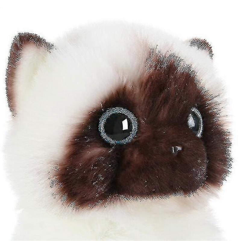 Simpatici Peluche Gatto Ragdoll