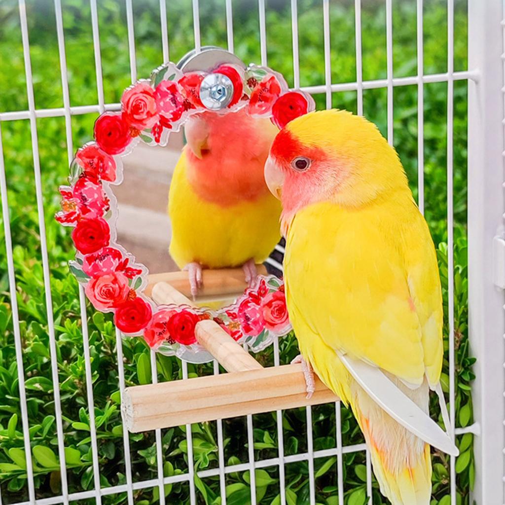 Parakeets Perch Birdcage Mirror Toy for Parrots Birdcage Playstand for Cockatiels Budgies Standing Perch Bird Cage Toy