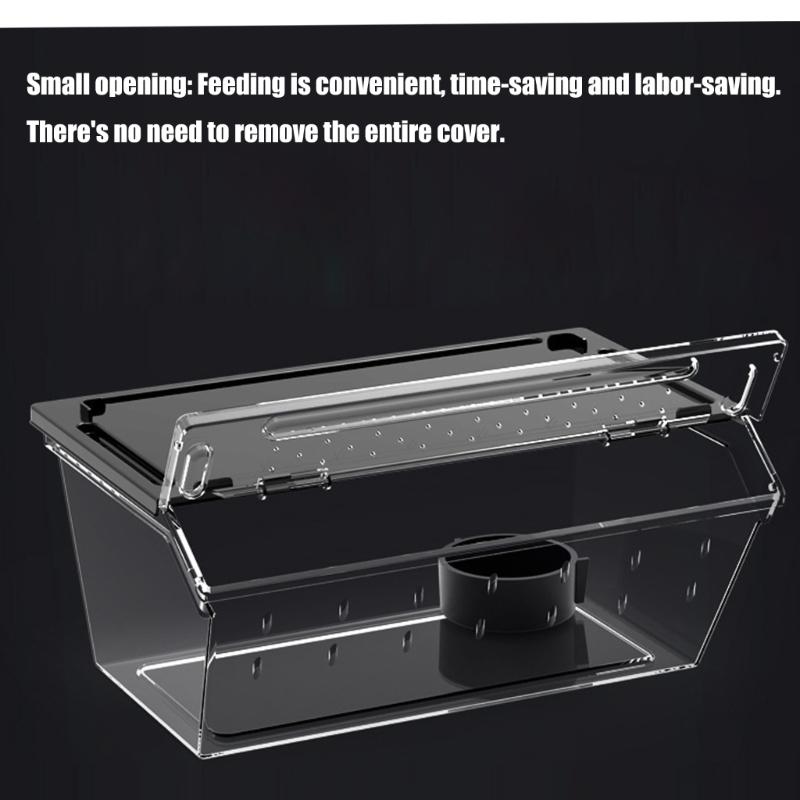 High Ventilation Reptiles Terrariums For Small Pet Transparent Easy Monitoring Design Small Pet Habitat Enclosure Box